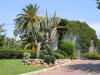 IMG_1518 (Small).JPG (72731 bytes)