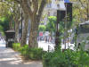 IMG_1526 (Small).JPG (75558 bytes)