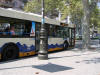 IMG_1528 (Small).JPG (65001 bytes)