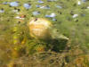 IMG_1166 (Small).JPG (44494 bytes)