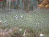 IMG_1177 (Large).JPG (107174 bytes)