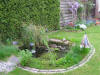 IMG_1305 (Small).JPG (91565 bytes)