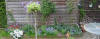 pano (Large).jpg (106182 bytes)