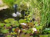 IMG_1335 (Small).JPG (90023 bytes)