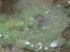 IMG_1190 (Large).JPG (125059 bytes)
