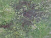 IMG_1191 (Large).JPG (114294 bytes)