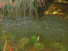 IMG_1149.JPG (634540 bytes)