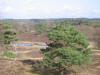 IMG_1138.JPG (62951 bytes)