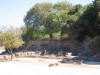 IMG_1995 (Medium).JPG (98237 bytes)
