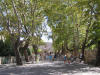 IMG_2007 (Medium).JPG (159762 bytes)