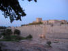 IMG_2037 (Medium).JPG (65867 bytes)