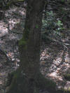 IMG_2078 (Medium).JPG (67939 bytes)