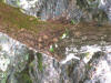 IMG_2079 (Medium).JPG (91726 bytes)