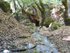 IMG_2091 (Medium).JPG (163511 bytes)