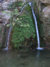 IMG_2144 (Medium).JPG (59110 bytes)