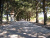 IMG_2164 (Medium).JPG (131273 bytes)