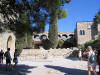 IMG_2176 (Medium).JPG (115903 bytes)