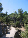 IMG_2205 (Medium).JPG (61768 bytes)