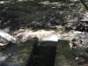 IMG_2206 (Medium).JPG (105386 bytes)