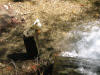 IMG_2213 (Medium).JPG (118709 bytes)
