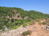IMG_2217 (Medium).JPG (111963 bytes)