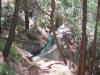 IMG_2218 (Medium).JPG (141320 bytes)