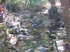 IMG_2222 (Medium).JPG (124834 bytes)