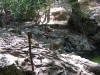 IMG_2223 (Medium).JPG (131697 bytes)
