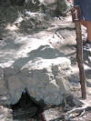 IMG_2224 (Medium).JPG (59691 bytes)