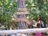 IMG_2225 (Medium).JPG (108801 bytes)