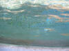 IMG_1437 (Medium).JPG (66106 bytes)